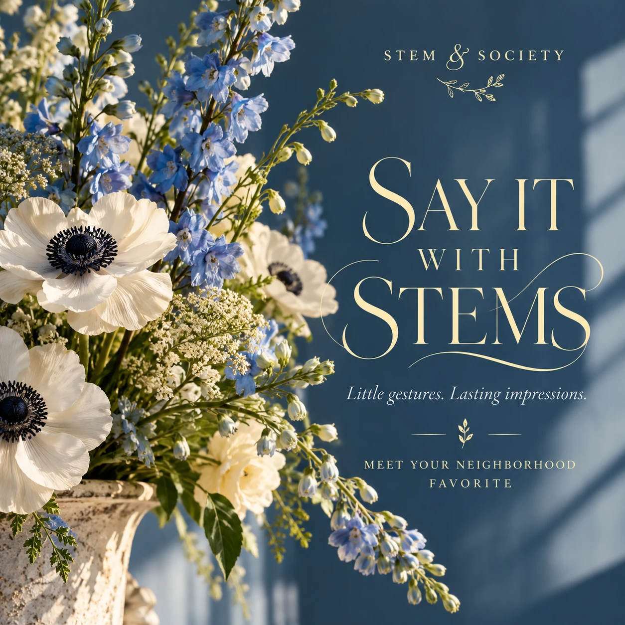 Stem & Society social promotion — Stem & Society