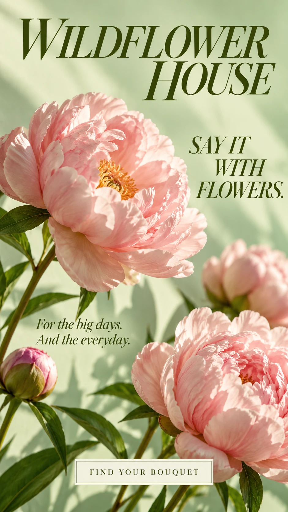 Seasonal flowers story — Wildflower House