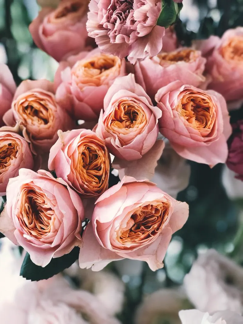Birthday bouquet — Julia's Floral