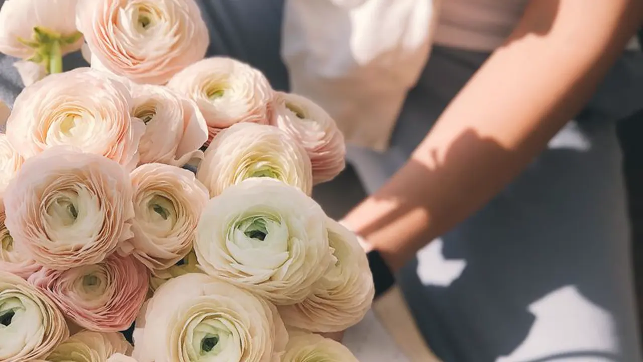 Wedding collection — Velvet Stems